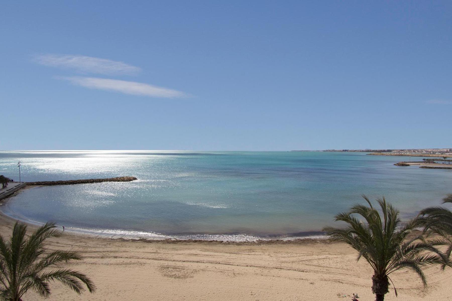 Homely Royal * Torrevieja